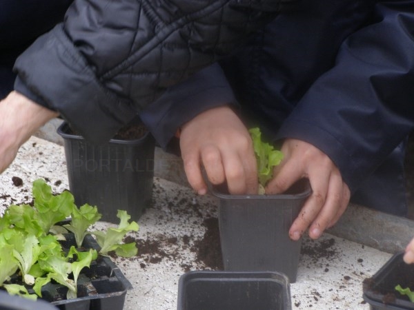 Talleres, visitas y cursos para pasar un verano “verde” en Madrid