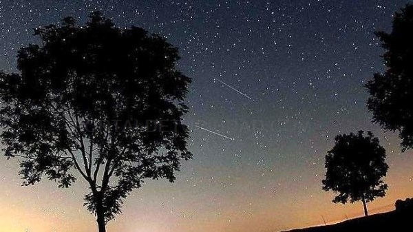 La noche de las Perseidas explicada por científicos bajo las estrellas