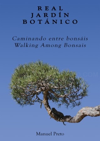 “Caminando entre bonsáis”, un enfoque artístico y fotográfico para conocer la colección del Real Jardín