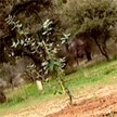 1,2 millones para el Parque del Curso Medio del Río Guadarrama