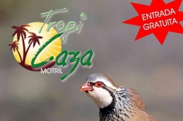 Feria Tropicaza