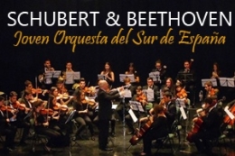 Concierto Joven Orquesta del Sur de España