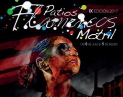 IX EDICION PATIOS FLAMENCOS