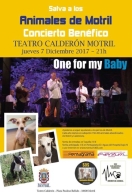 Concierto Benéfico Animales de Motril
