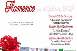 CICLO "FLAMENCO EN EL CALDERÓN" ANTONIO REYES "CHICLANA FLAMENCA"
