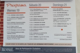 FIESTAS DE LA DIVINA PASTORA