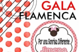 Gala flamenca "Por una sonrisa diferente Jimena"