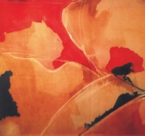 EXPOSICIÓN: IMAGEN EN FORMA Y COLOR. OBRAS DE MARION MILLER