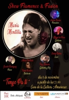 FLAMENCO FUSIÓN: MARÍA MONTILLA
