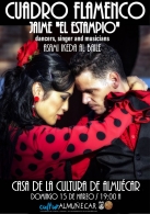 Cuadro Flamenco
