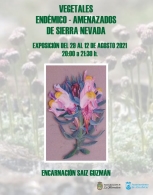 Vegetales endémicos amenazados de Sierra Nevada