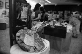 EXPOSICIÓN DE LOS TRABAJOS REALIZADOS POR LOS DIFERENTES TALLERES DE SALOBREÑA