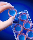 BIOTECNOLOGÍA Y ALIMENTACIÓN