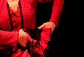 Gala Flamenca