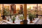 Alumnos Academia D'arte