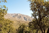 Excursión al Alcornacal de Lújar y a Jolúcar
