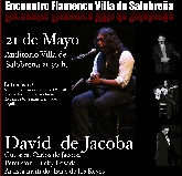 Encuentro Flamenco Villa de Salobreña