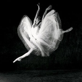 Festival de Danza