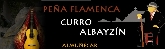 Festival Flamenco