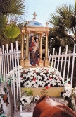 FIESTAS PATRONALES NTR. SRA. DEL ROSARIO 2009