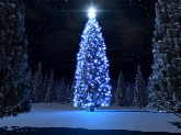 Navidades en Gualchos y Castell de Ferro