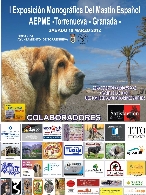 "1er. Concurso Monográfico de Mastín Español  de Torrenueva (Granada)".