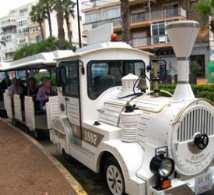Tren Turístico