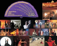 Repertorio de Zarzuela, Ópera, Ballet español flamenco de Granados, Albéniz, Falla...