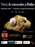 Feria de Minerales y Fósiles
