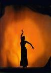 Festival Flamenco.