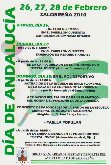 ACTIVIDADES DÍA DE ANDALUCÍA EN SALOBREÑA