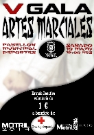 V Gala de artes marciales