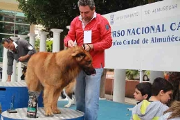 III Concurso Nacional Canino y I Exposición Nacional Canina "Ciudad de Almuñécar"