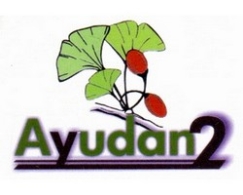 Taller para Cuidadores de Ayudan2