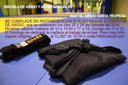 IV Jornadas intensivas de Aikido