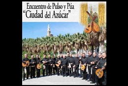 VII Encuentro de Pulso y Púa