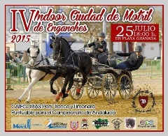 IV Indoor de Enganches de Caballos Ciudad de Motril