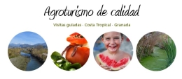 Ruta Guiada: Motril al descubierto