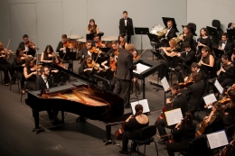 Concierto de Año Nuevo