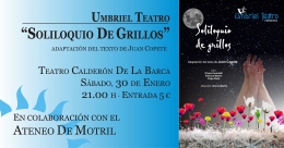SOLILOQUIO DE GRILLOS