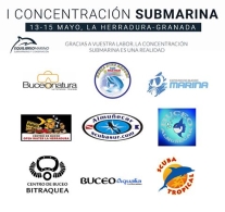 I Concentración Submarina