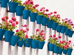 Destino a la primavera