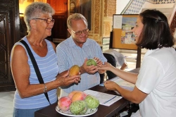 Almuñécar reparte chirimoya y mango y abre museo y monumentos para celebrar el Día Mundial de Turismo.