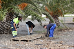 El Ayuntamiento hace balance de los daños del temporal y comienza a retirar las pasarelas, reponer adoquines y quitar tierra