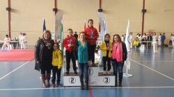 Más de 300 competidores de toda Granada se dan cita en el Torneo de Navidad de Kárate celebrado en Salobreña