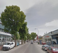 La concejalía de Parques y Jardines inicia la poda del arbolado del ‘Kilómetro 1’