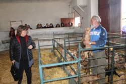 Una asociación de parados se dedica a la cría de caprino en la Granja de la Diputación en Albolote