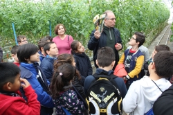 Alumnos de primaria conocen el trabajo de los agricultores con las visitas organizadas por el área de Educación a la cooperativa La Palma