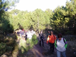 El PMD Almuñécar propone hacer senderismo este domingo por el "Camino del Pescao"