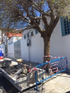 El Ayuntamiento renueva el acerado la zona del Camino de San Antonio y adapta los bordillos de la calle Quijote con la Rambla de los Álamos